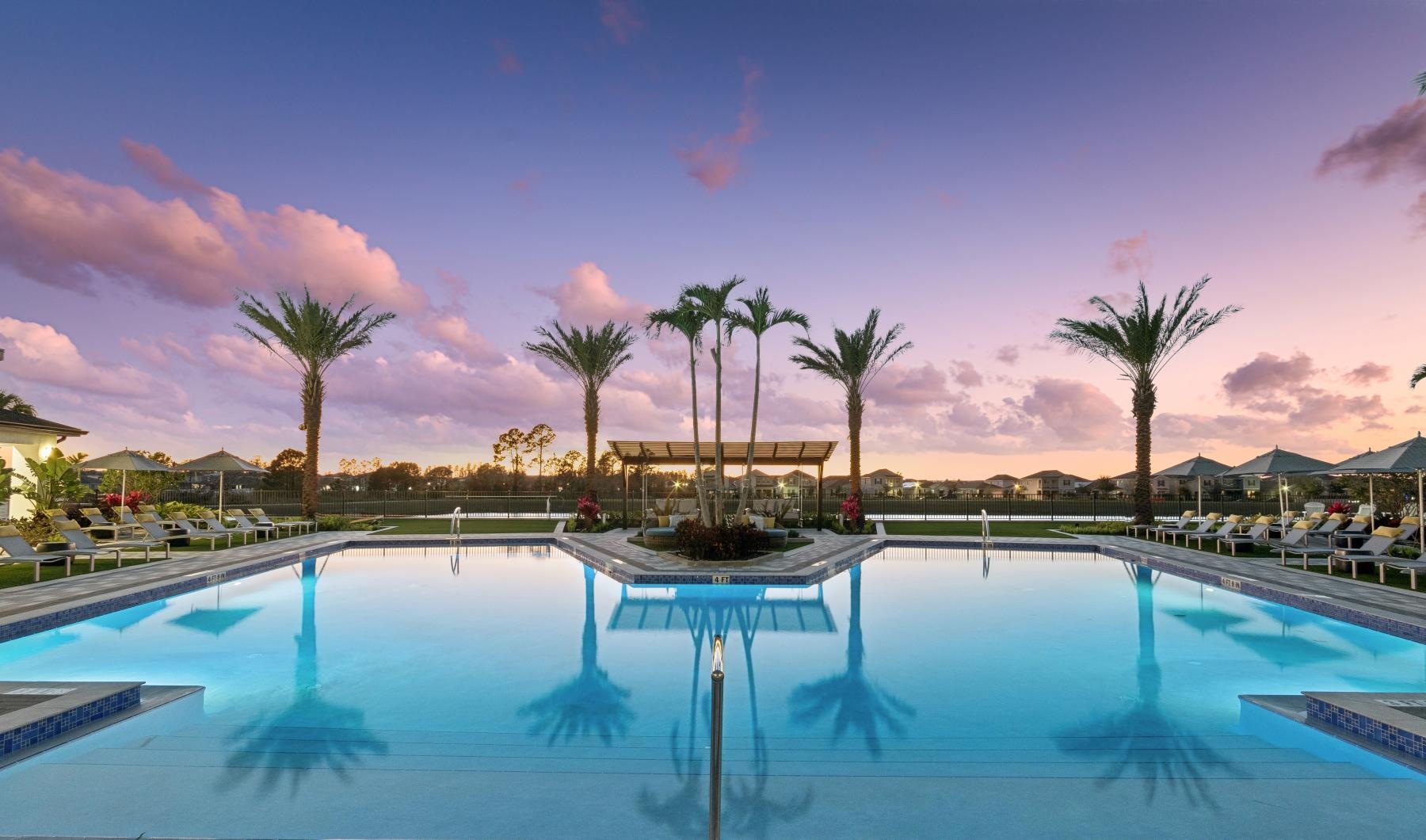 a pool with palm trees and a sunset