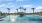 a pool with palm trees and a building in the background